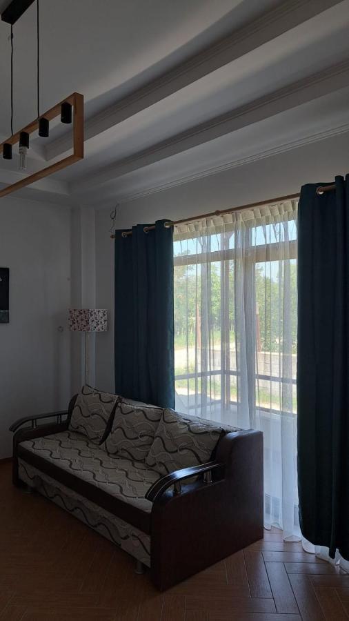 Casa Francesca Apartment Comanesti  Luaran gambar