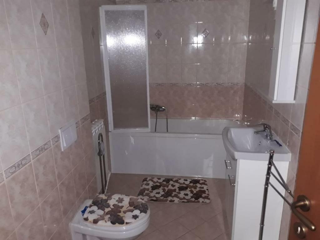 Casa Francesca Apartment Comanesti  Luaran gambar